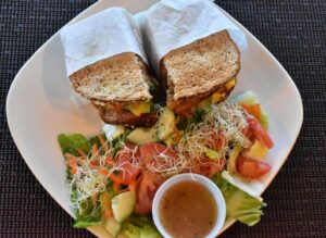 Natty's Place Discover popotla Rosarito