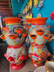 Curios Simón Discover popotla Rosarito