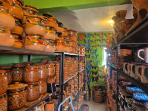 Curios Simón Discover popotla Rosarito