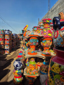 Curios Simón Discover popotla Rosarito