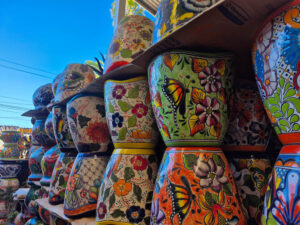 Talavera Nava Discover popotla Rosarito