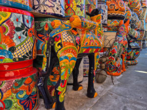Talavera Nava Discover popotla Rosarito