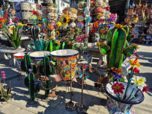 Talavera Nava Discover popotla Rosarito