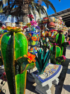 Talavera Nava Discover popotla Rosarito