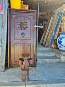 La Piñata Curios Discover popotla Rosarito