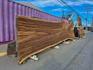 Parota Concepto Selecto Discover popotla Rosarito