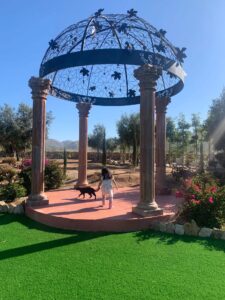 La Iguana Discover popotla Rosarito