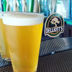 Delliotts Cervecería Discover popotla Rosarito